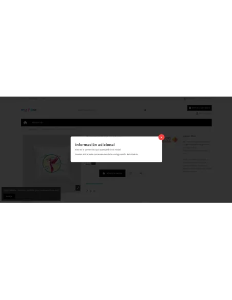 Product Info Popup: Size guide and details in windows